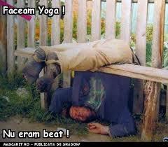 Diverse - images.jpeg